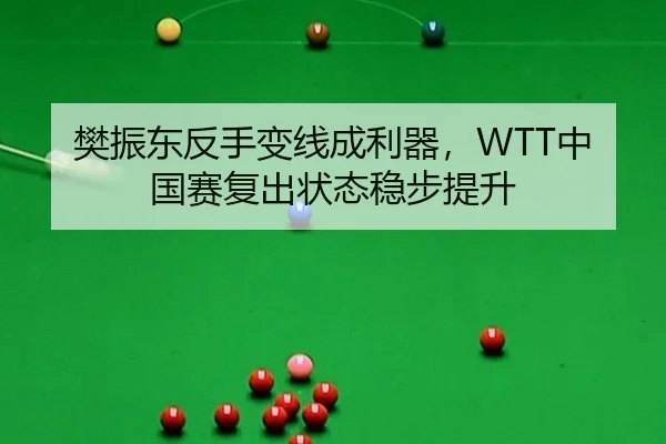 樊振东反手变线成利器，WTT中国赛复出状态稳步提升
